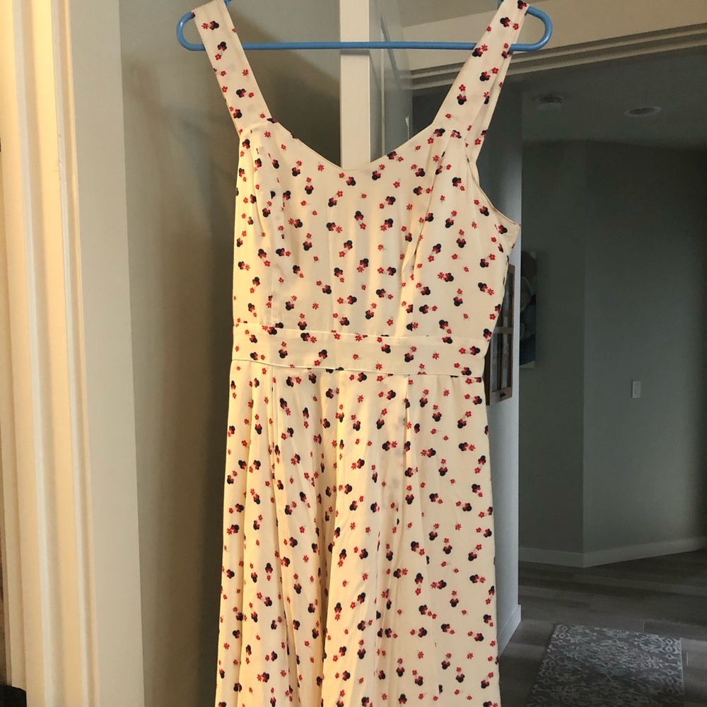 Disney Minnie Dress